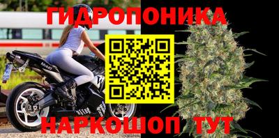 дмт Нальчик