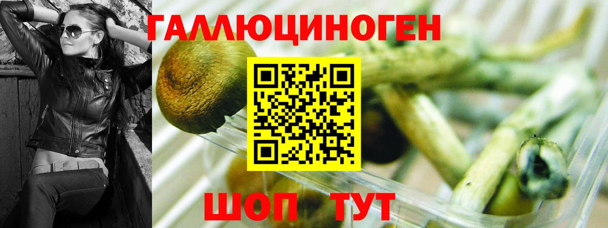 Псилоцибиновые грибы мухоморы  Псилоцибиновые грибы GOLDEN TEACHER  Ханты-Мансийск  Вход с VPN 